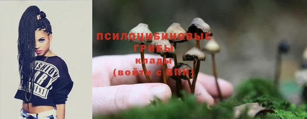 соль курить ск Вяземский