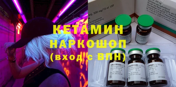 трава Сясьстрой