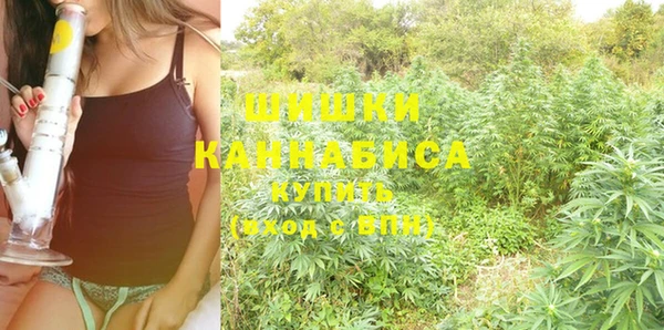 дмт Горнозаводск