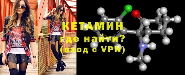 трава Сясьстрой