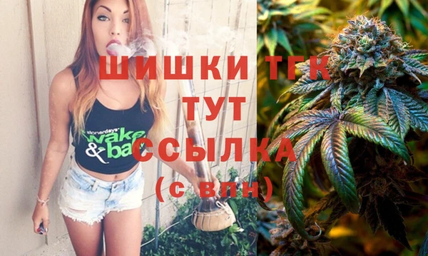 дмт Горнозаводск