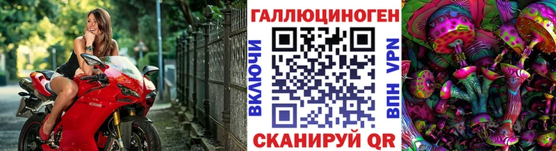 Галлюциногенные грибы GOLDEN TEACHER  как найти закладки  Ефремов 